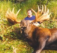 Alaska Peninsula Moose