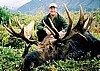 Alaska Peninsula Moose
